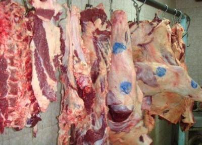 معدوم سازی بیش از 4 هزار کیلوگرم فرآورده خام دامی در دزفول