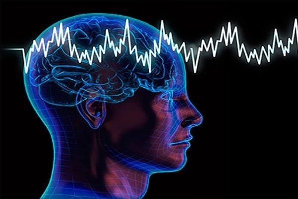 استفاده از نقشه برداری مغز برای درک سیستم عصبی