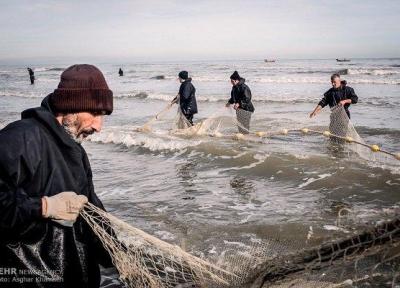 صید ماهیان استخوانی از دریای خزر توسط صیادان غرب گیلان شروع شد