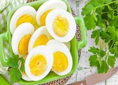 بهبود روند رشد مغز نوزاد با مصرف تخم مرغ