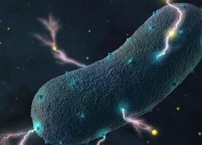 عامل اصلی تنظیم کننده فعالیت سیستم ایمنی بدن کشف شد