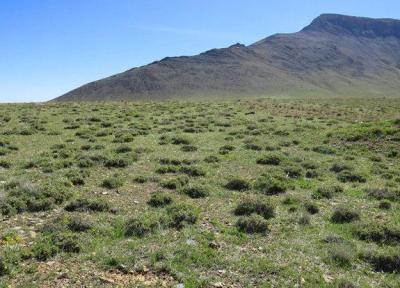 75 درصد ارزش جنگل ها زیست محیطی است