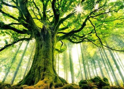 5 اثر طبیعی خراسان جنوبی در فهرست میراث طبیعی کشور ثبت شد