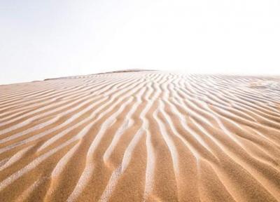 حفاظت مؤثر از اکوسیستم شکننده بیابانی با رویکردی جدید