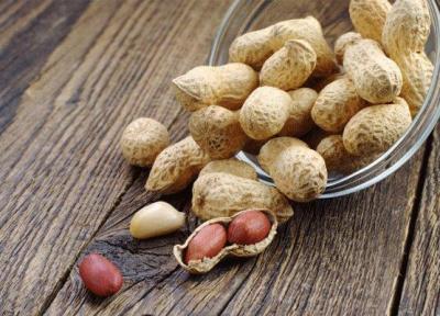 داروی حساسیت به بادام زمینی تولید شد