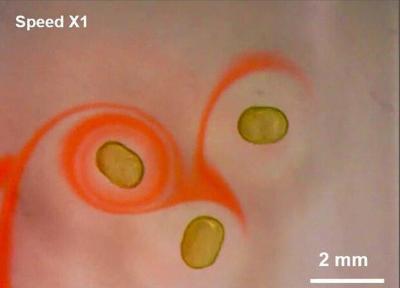 آهنربای مایع ابداع شد