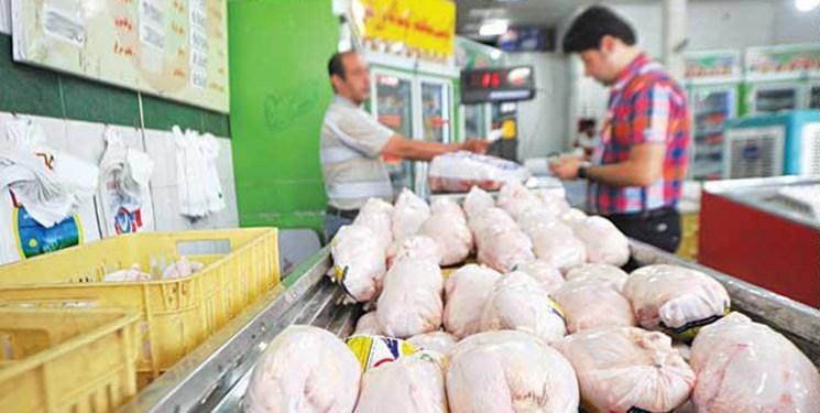 شایعه سازی دلالان برای افزایش قیمت مرغ