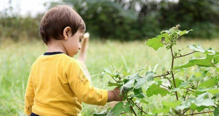 موزه کودک و طبیعت با اهداف آموزشی تاسیس شد موزه کودک و طبیعت با اهداف آموزشی تاسیس شد