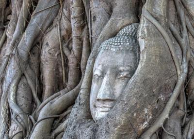 شهر سوخته آیوتایا