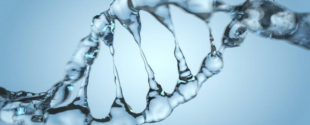 نیروی جدیدی که باعث ثبات DNA می شود نیروی جدیدی که باعث ثبات DNA می گردد