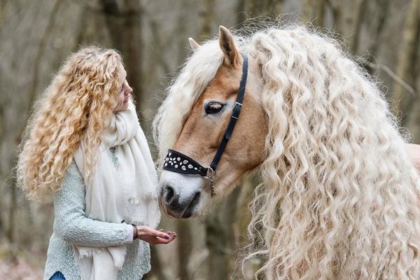 هر دختری به مو های این اسب حسادت می کند!