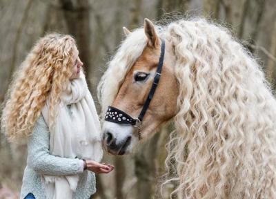 هر دختری به مو های این اسب حسادت می کند!