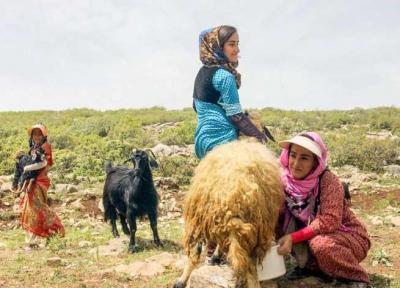 زنان عشایر؛ فعالان گمنام مالی