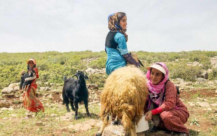 زنان عشایر؛ فعالان گمنام مالی