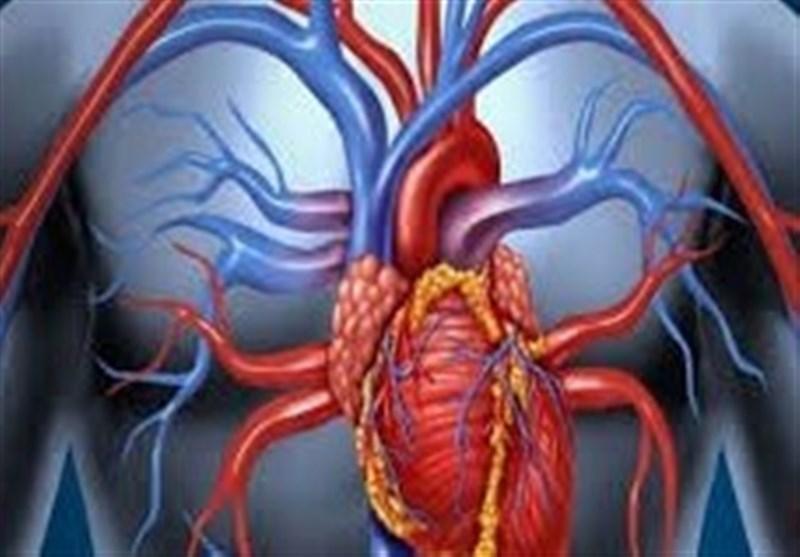 بهترین فرمول غذایی برای پاکسازی عروق خونی