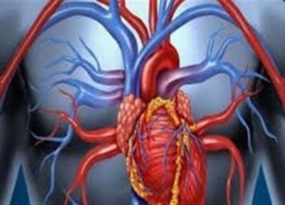 بهترین فرمول غذایی برای پاکسازی عروق خونی