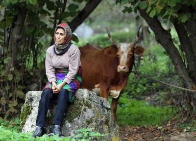 نمایش مستند خانه ای در مه در پرتغال