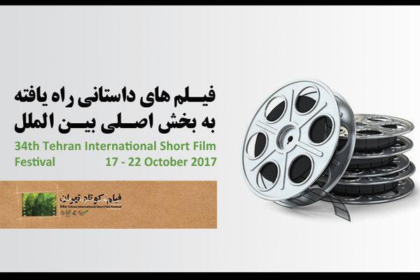 معرفی آثار راه یافته به بخش اصلی بین الملل جشنواره فیلم کوتاه
