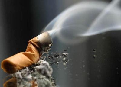 مصرف دخانیات سالانه جان 11 هزار ایرانی را می گیرد