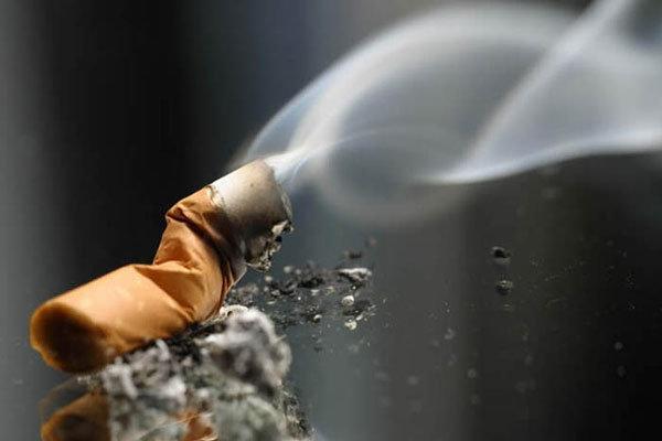 مصرف دخانیات سالانه جان 11 هزار ایرانی را می گیرد