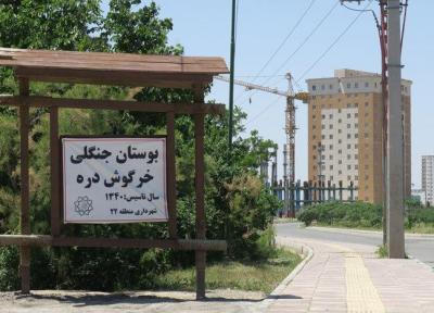 بوستان خرگوش دره، بدون خرگوش