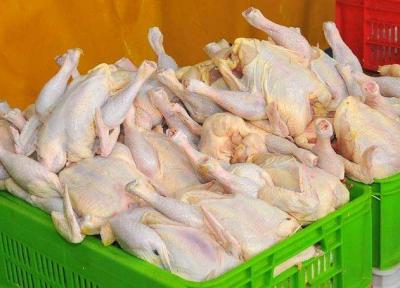ذخیره سازی 1715 تن گوشت مرغ منجمد شب عید در آذربایجان غربی