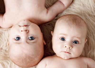 اگر دوقلو می خواهید، بخوانید