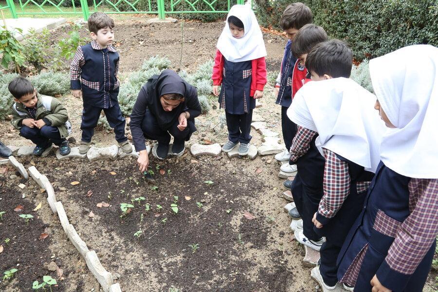بچه ها گل می کارند بچه ها گل می کارند