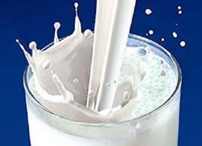 حتما شیر مصرف کنید، آفلاتوکسین موجود در شیر کمتر از حد مجاز است