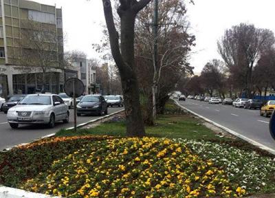 گل کاری برای تقویت روحیه شهروندان تبریزی