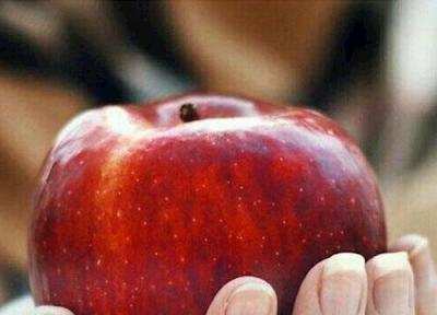 میوه ای که به تنهایی یک آنتی هیستامین کامل است