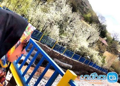 خانم مجری در مکانی خوش آب و هوا