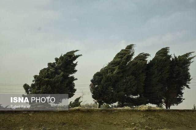 وقوع 9 حادثه در مشهد در پی وزش باد شدید