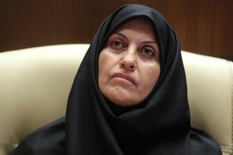 پیروزبخت: ذرت های آلوده تبدیل به الکل می شود پیروزبخت: ذرت های آلوده تبدیل به الکل می شود