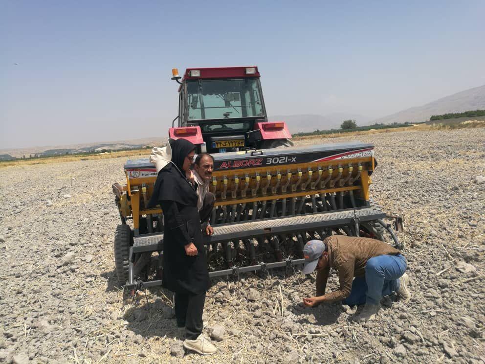 خبرنگاران کشت برنج به روش خشکه کاری برای نخستین بار در کازرون خبرنگاران کشت برنج به روش خشکه کاری برای نخستین بار در کازرون