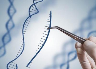 درمان بیماری های نادر خونی با دستکاری ژنتیک