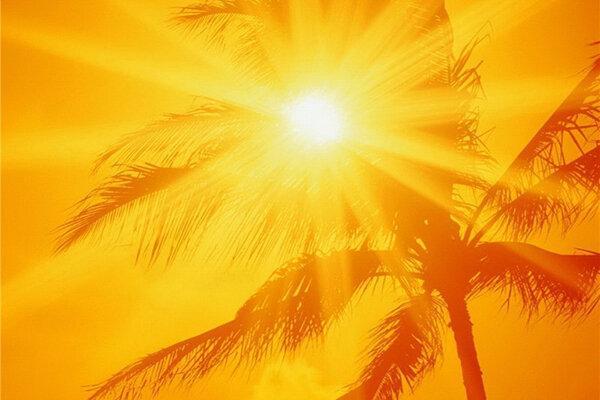 گرما و رطوبت هوا در بوشهر بالا گرفت