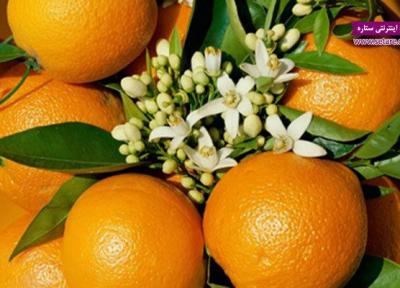 خواص نارنج در درمان بیماری ها