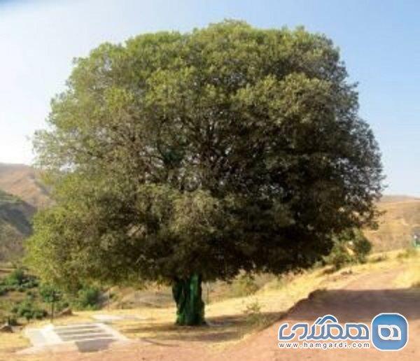 ابلاغ ثبت ملی 8 میراث طبیعی قزوین