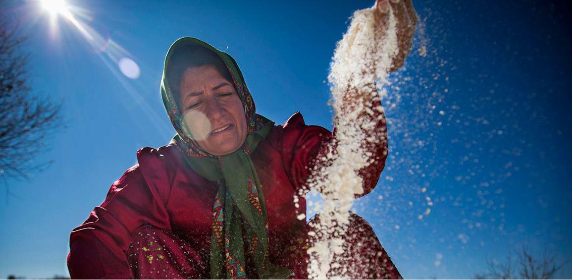 اعلام جزئیات بیمه زنان خانه دار