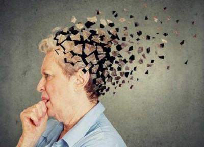 رژیم غذایی مناسب برای پیشگیری از زوال عقل