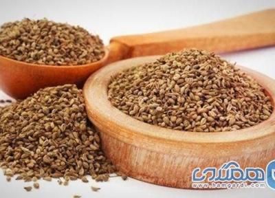 گیاه زنیان، موثر در کاهش وزن و چربی خون