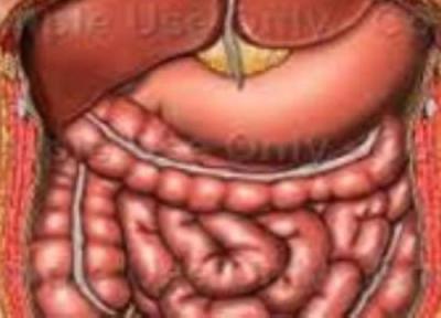 مراحل گوارش از دیدگاه پزشکی روز