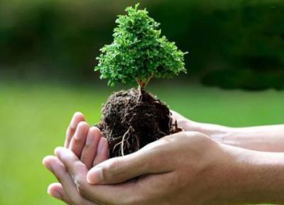 کاشت 200 اصله نهال در جزیره هرمز