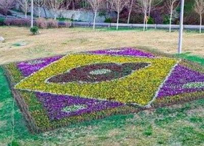 فرش های گل زینت بخش بزرگراه های منطقه 2 مرکز شد