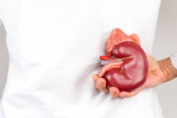 این مواد غذایی به کلیه ها آسیب می زنند این مواد غذایی به کلیه ها آسیب می زنند