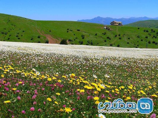 در سفر به مازندران کجا کمپ بزنیم؟