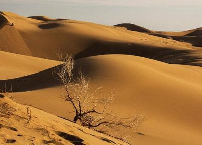 آشنایی با پارک ملی کویر یا آفریقای کوچک ایران در گرمسار
