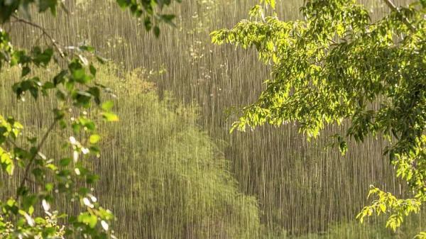 عجیب ترین باران تاریخ ، بی وقفه تا 2 میلیون سال بارید