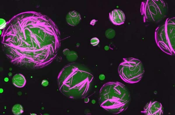 برای اولین بار، ساخت سلول زنده در آزمایشگاه، انسان قادر به انجام کار طبیعت می گردد؟
